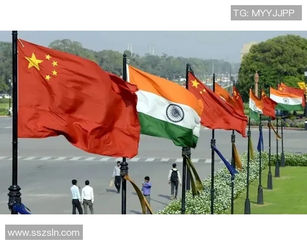 阿劳霍:踏上心灵的橄榄枝,在圣地汲取生命新泉